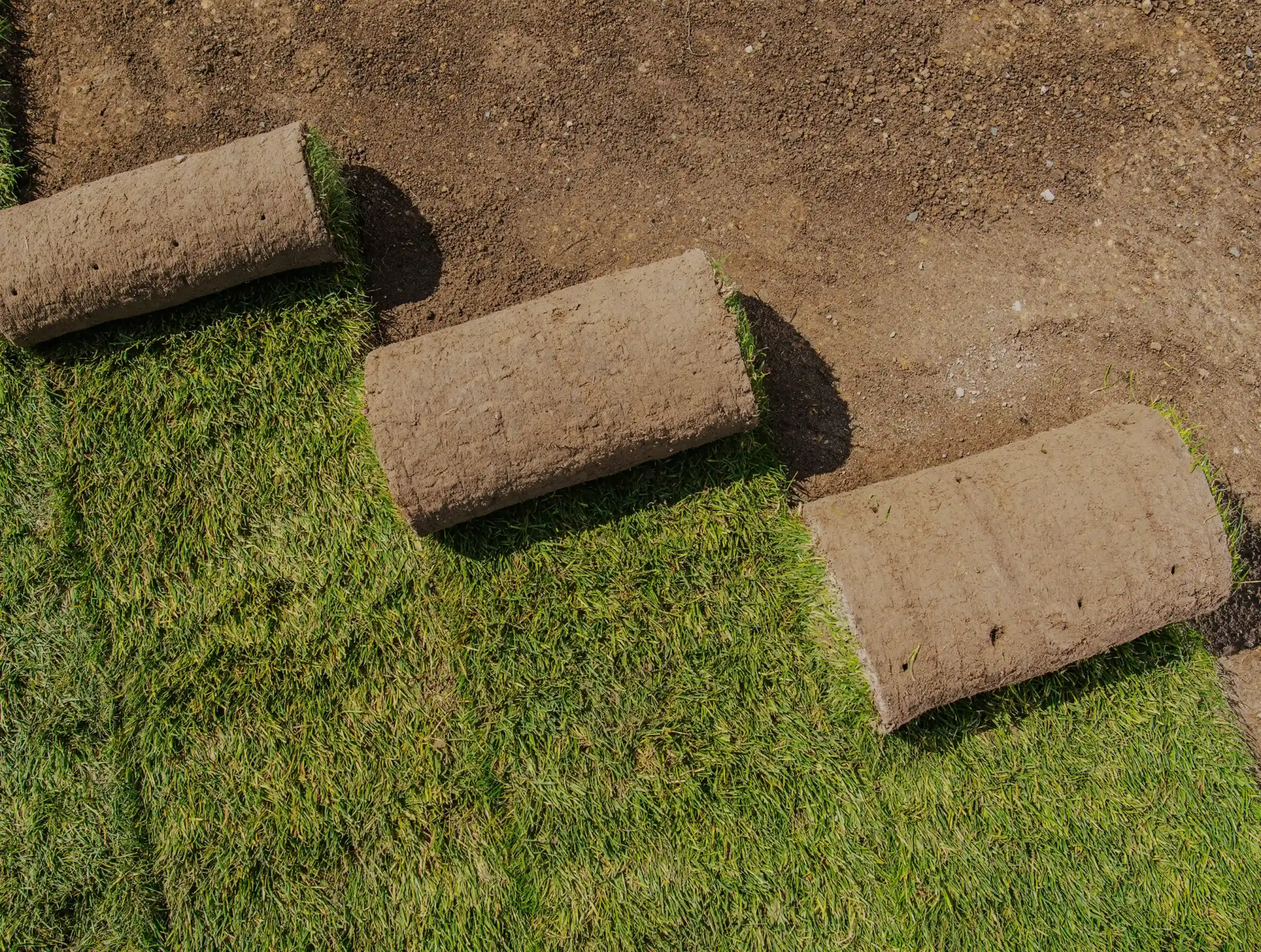 Sod Installation
